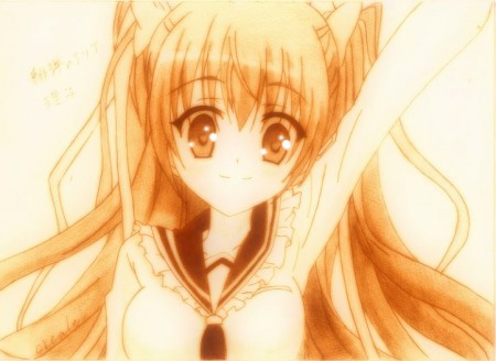 緋弾のアリア　峰理子